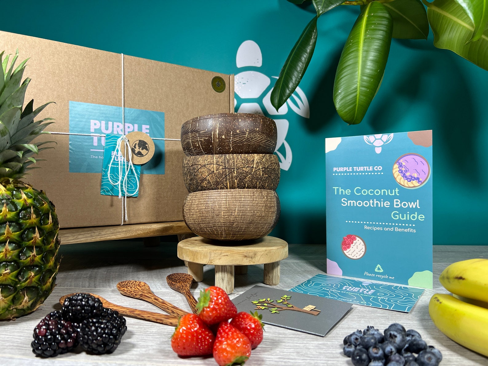 Smoothie Coconut Bowls Set