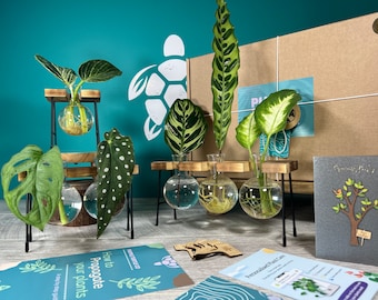 Plant Propagation Station Gift Box: Glass Vases, Wooden Labels, Plant App Membership, Guide | Start Cloning Your Plants