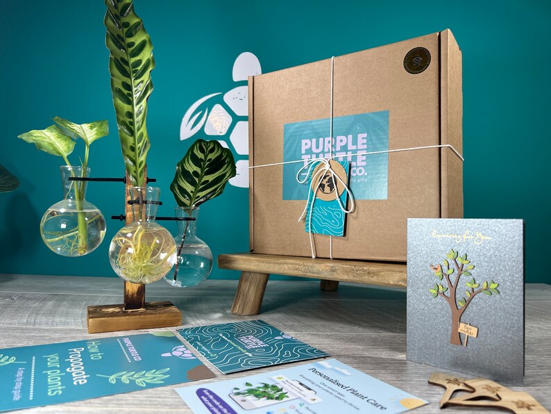Purple Turtle Co. Plant Propagation Station - Thumbnail 2
