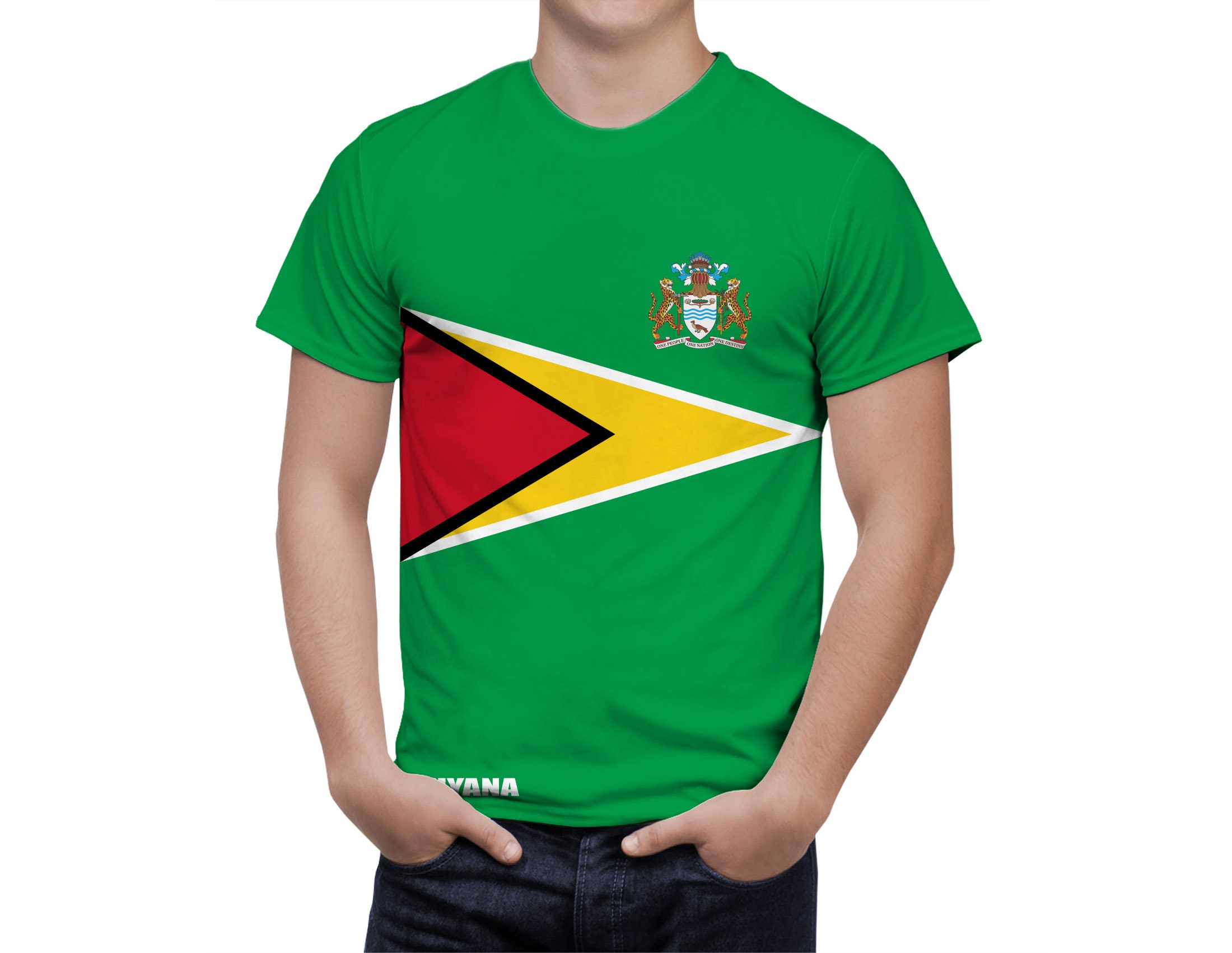 Discover Guyana Flag Shirt, Patriotic 3D T-Shirt
