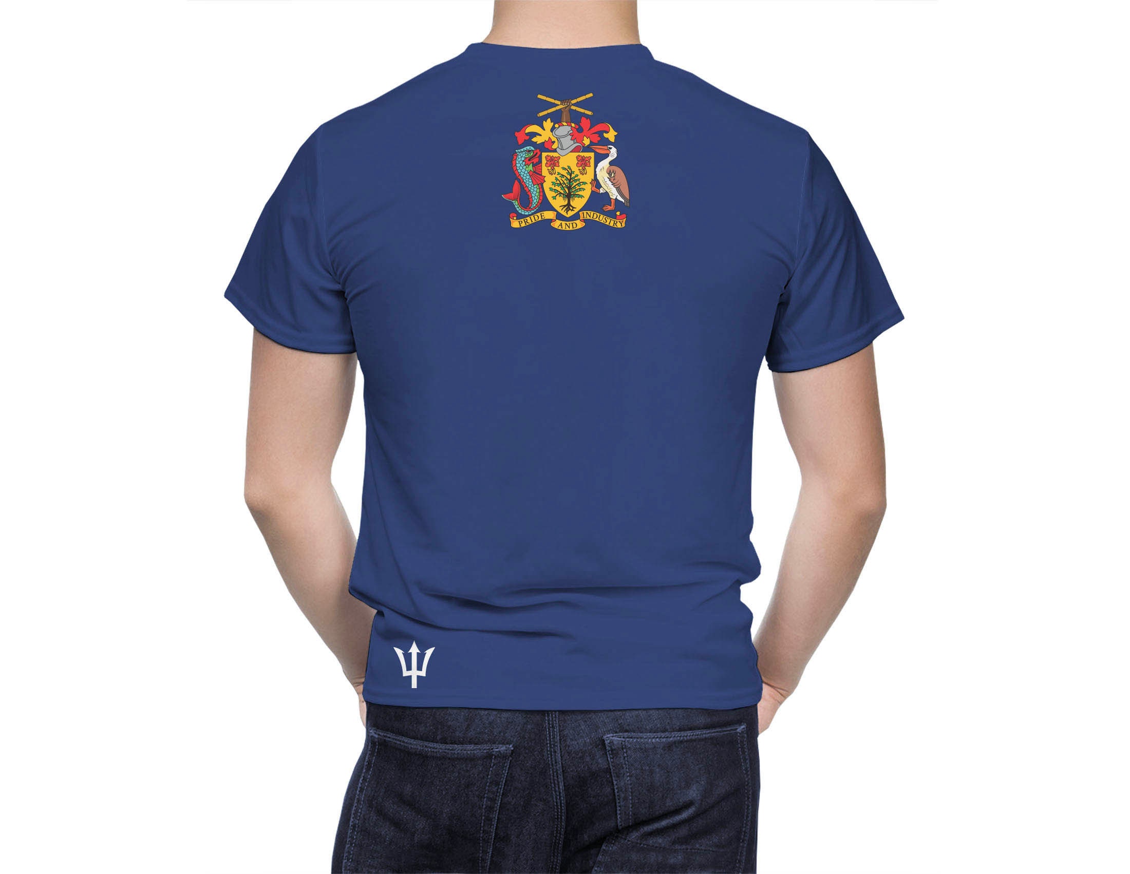 Discover Barbados Flag Shirt, Patriotic 3D T-Shirt