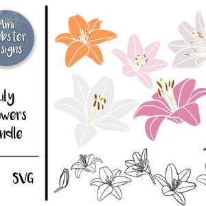 Lily Flower SVG - Lily SVG - Lily SVG Bundle  - Lilies Png - Flower Cut Files - Cricut files - Lily Cut File - Scroll Saw Pattern