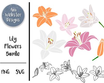 Lily Flower SVG - Lily SVG - Lily SVG Bundle  - Lilies Png - Flower Cut Files - Cricut files - Lily Cut File - Scroll Saw Pattern