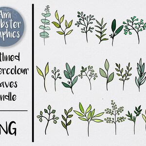 Watercolor leaves - Png Leaves - Watercolour leaf Illustrations - Png Leaves Bundle - Hand Drawn Line Art - leaf, leaves, foliage