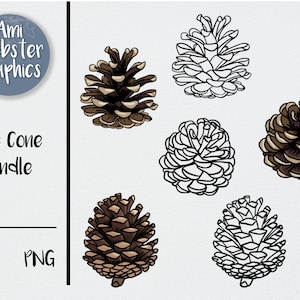 Pine Cone SVG - Pine Cones SVG Bundle - Nature SVG - Christmas cut file - Winter clip art