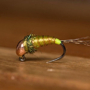 Può includere: Un'esca da pesca a mosca verde e rame con una coda verde e bianca.