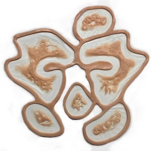 May include: A collection of prosthetic makeup pieces, featuring a light brown border and a white interior with textured, flesh-toned details. The pieces vary in shape and size, designed for special effects.