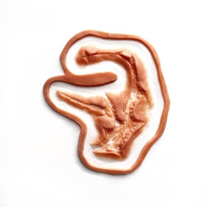 Puede incluir: Un primer plano de un molde de huella de dinosaurio marrón. El molde es detallado y muestra los dedos y las garras individuales del dinosaurio.