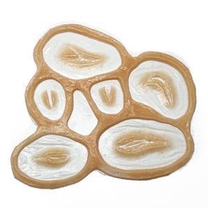 Mini cuts pack / Small laceration Set / Encapsulated Silicone Prosthetic / SFX Makeup / Gore / Moulage / Injury / Trauma / Cosplay