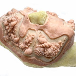 May include: A detailed, sculpted object resembling a sea creature or coral formation. The piece features a light beige base with a textured, pinkish-brown top layer. Various sea-themed elements, such as shells and coral, are intricately detailed.