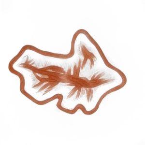 May include: An abstract drawing featuring a thick, irregular terracotta-colored outline surrounding a central, textured terracotta-colored shape that resembles a branching, organic form with multiple radiating strokes on a plain white background.