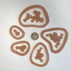 Zestaw Barnacle / Silikonowa proteza kapsułkowana / Cosplay / Makijaż fantasy / Makijaż z efektami specjalnymi / Kostium pirata / Syrena