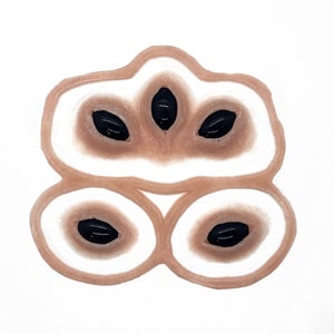 May include: An abstract illustration of a fruit, possibly a cherimoya, cut open to reveal black seeds. The fruit's flesh is white with a brown outline, and the seeds are black. The artwork is set against a white background.