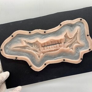 May include: A silicone prosthetic appliance featuring a realistic flesh-toned skin texture with an embedded set of human-like teeth and gums. The piece is secured to a black rectangular backing board with small black pins along the perimeter.