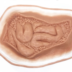 Open Abdominal Wound / Stomach Wound / Intestines/ Guts / Encapsulated Silicone Prosthetic/ Trauma / SFX / Moulage