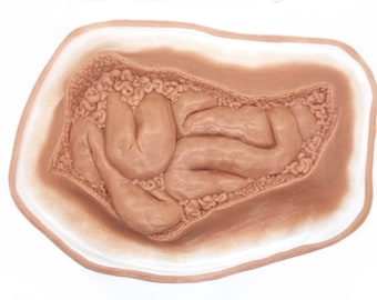 Peut inclure: Un modèle anatomique de couleur chair, brun clair, présentant une surface texturée et irrégulière avec des structures en relief, enroulées et tubulaires ressemblant à des organes internes, entouré d'une bordure ovale lisse et plus claire.