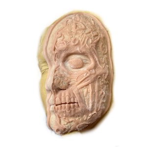 May include: A pale, flesh-toned prosthetic mask featuring a detailed anatomical design. The surface displays exposed muscle fibers, tendons, and a visible jawline with teeth, creating a realistic biological texture across the facial structure.