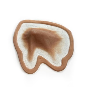 May include: A prosthetic wound appliance with a brown, textured center, surrounded by a white layer and a tan border. The appliance is designed to simulate a skin injury. It is set against a white background.