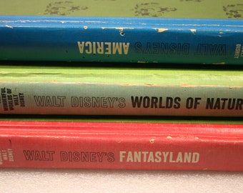 The Wonderful World of Walt Disney Books / Golden Press / America