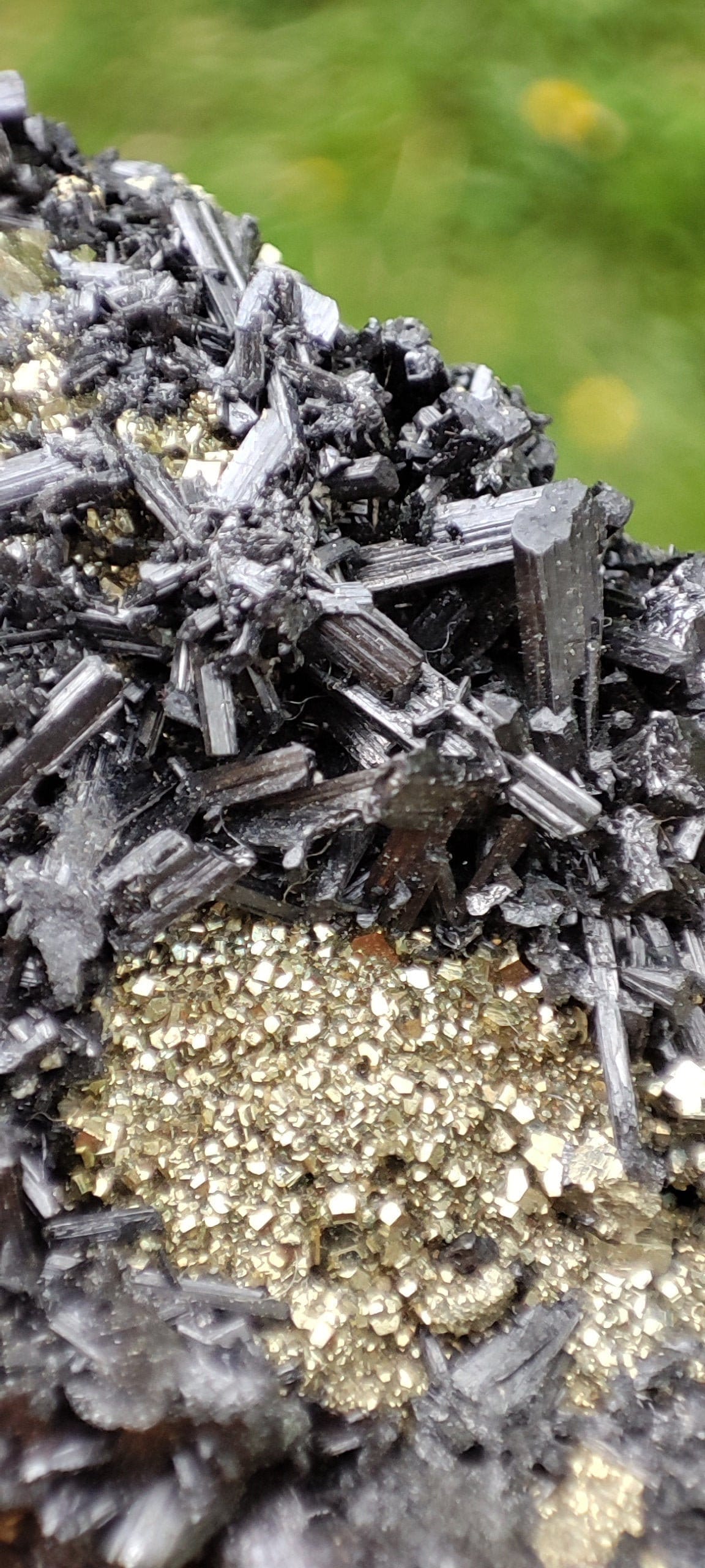 Enargyte sur Pyrite