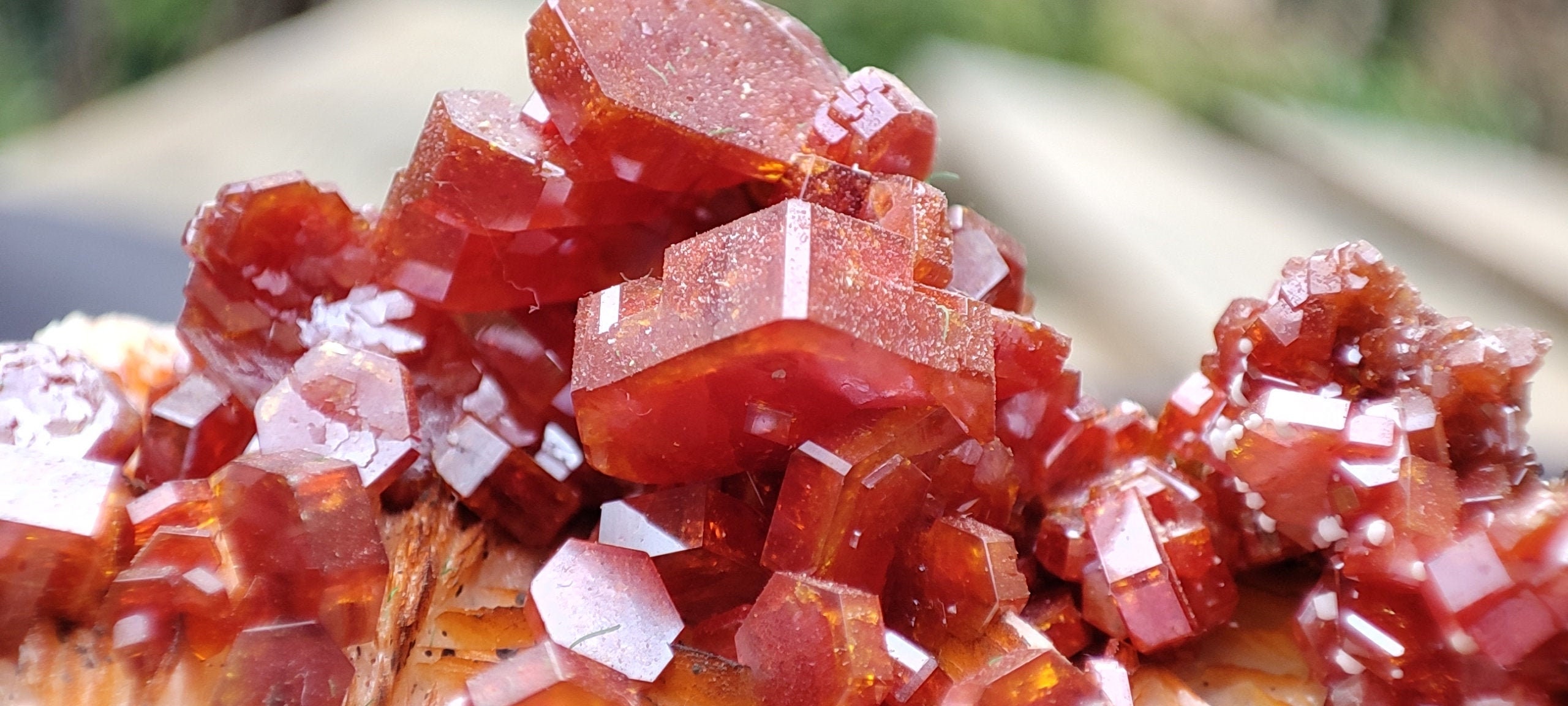 253G Vanadinite et Mimétite sur Baryte Tricolore, Bel Amas de Cristaux