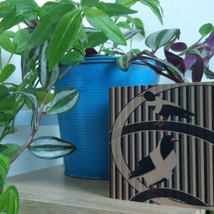 Biglietti di auguri cornish choughs