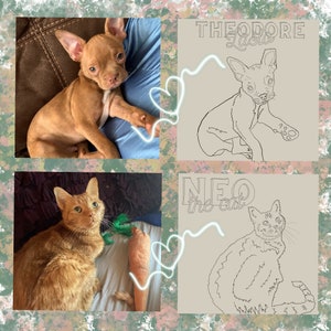 Printable Pet Sketch with Custom Calligraphy | Pet Sketch | Custom Cat Coloring Page | Dog Coloring Page | Pet Name Calligraphy