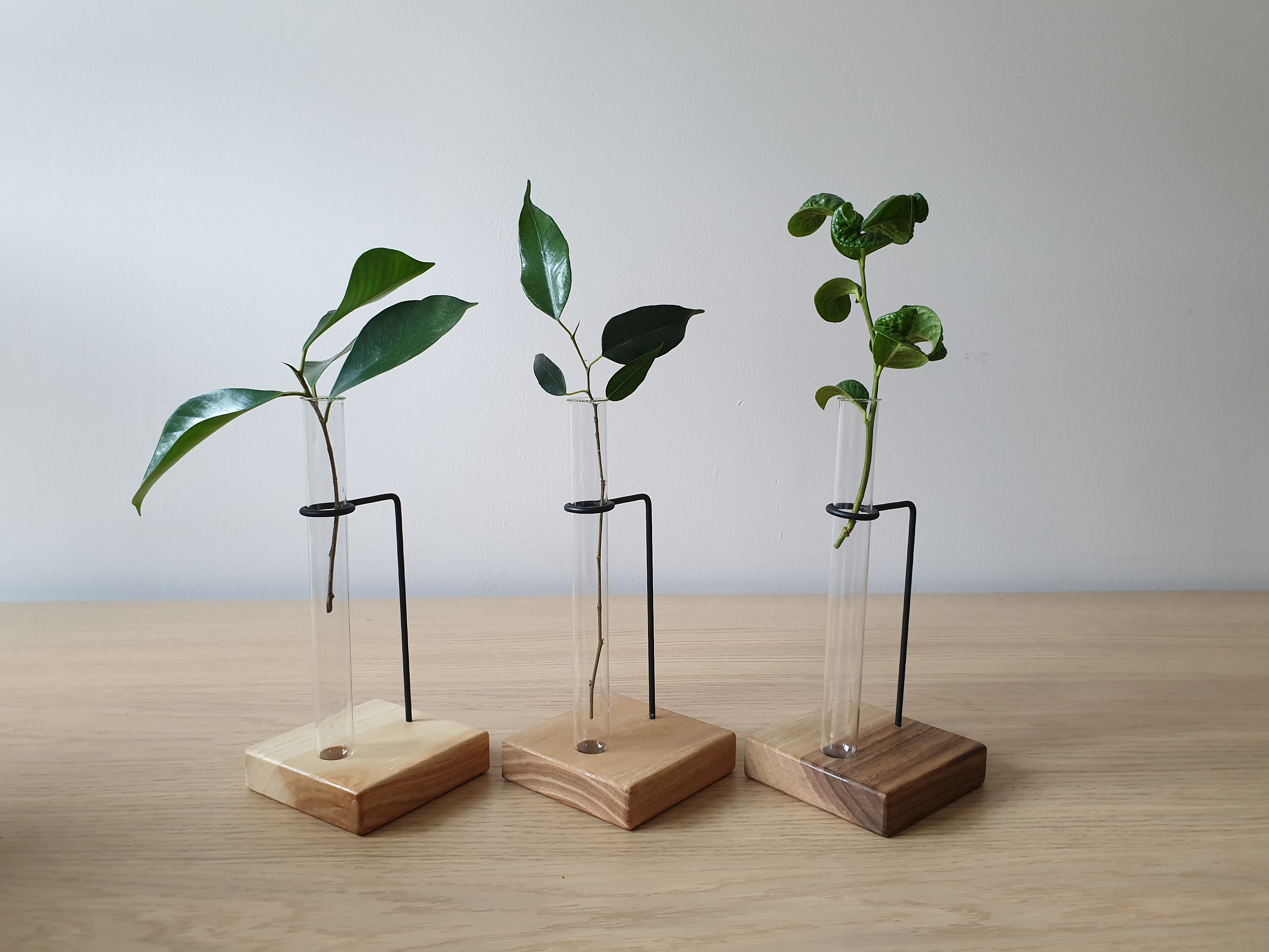 Test tube stand Wooden propagation stand Modern flower Etsy