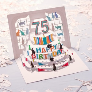 75. Geburtstag Katzenkarte - Pop Up Karte - 75 Jahre alt, Geburtstagskatzenkarte, Karten für Sie, Karten für Ihn, Made in the UK/POPCATA075