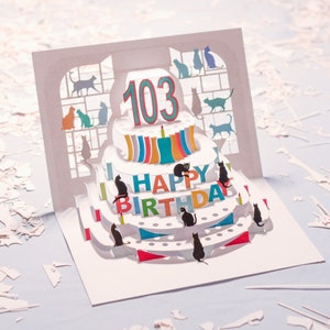 Carte de 103e anniversaire de chat - carte pop-up - carte d'âge de 103 ans, carte d'anniversaire de chat, message personnalisable, fabriqué au Royaume-Uni/POPCATA103
