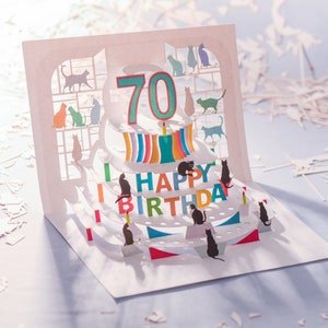 Carte de 70e anniversaire de chat - carte pop-up - carte de 70 ans, carte d'anniversaire de chat, message personnalisable, fabriqué au Royaume-Uni/POPCATA070