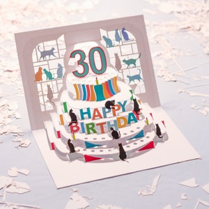 Carte de 30 ans de chat - carte pop-up - carte de 30 ans, carte d'anniversaire de chat, cartes pour elle, cartes pour lui, fabriquée au Royaume-Uni/POPCATA030