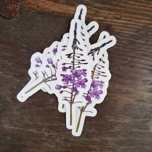 May include: A set of five stickers featuring a purple flower with a long stem and multiple buds. The stickers are printed on white paper and have a glossy finish.