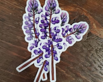 Canadian Wildflower Lupine Sticker