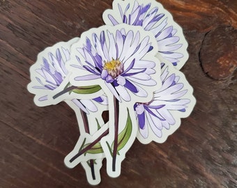 Canadian Wildflowers Smooth Aster Sticker