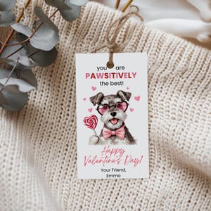 Modelo de cartão de dia dos namorados, etiqueta de dia dos namorados para schnauzer para impressão, dia dos namorados para filhotes editável, dia dos namorados para crianças, download instantâneo, Canva