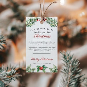 Urlaub Herd Top Simmer Pot Tag, bearbeitbare Vorlage, anpassbare Winter Simmering Potpourri Anweisungen Geschenkanhänger, Wertschätzung Geschenk