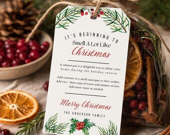 Holiday Stove Top Simmer Pot Tag, Editable Template, Customizable Winter Simmering Potpourri Instructions Gift Tag, Appreciation Gift