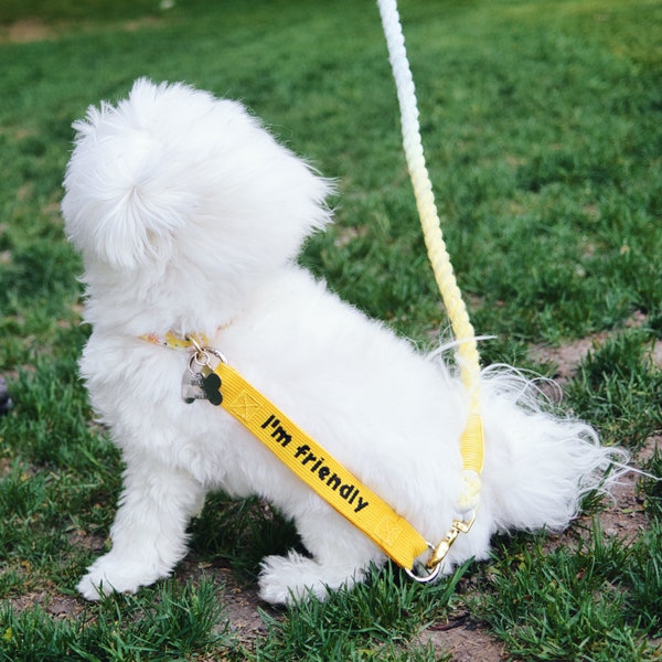 Dog Leash Tag | Dog ID Tag | Dog Leash Holder | Pet Leash Holder | Personalized Dog Leash Name Tag | Embroidery