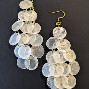 shell earrings
