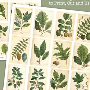 Vintage sigarettenkaart, replica sigarettenkaarten, Junk Journal Supplies, Mini Journal Supply, groene ephemera, groene ambachtelijke benodigdheden