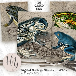 Cartes de journalisation, ATC, éléments de journal indésirable, cartes grenouille, cartes crapaud