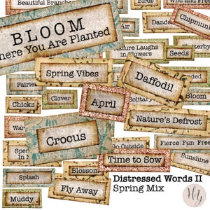 Peut inclure: Une collection d'étiquettes en papier de style vintage avec des mots et des expressions sur le thème du printemps, tels que "Bloom", "Spring Vibes", "Daffodil", "April", "Crocus", "Time to Sow" et "Nature's Defrost". Les étiquettes sont vieillies et ont un aspect rustique et vieilli. Le texte "Distressed Words II Spring Mix" est également inclus.