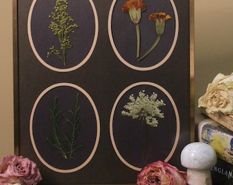 May include: A framed botanical art piece featuring four oval displays of dried flowers and foliage against a dark background. The frame is gold-toned. Additional dried flowers and a mushroom figurine are on a wooden surface.