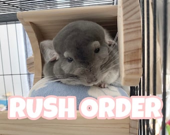 RUSH ORDER