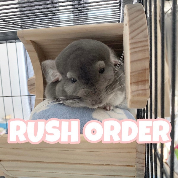 RUSH ORDER