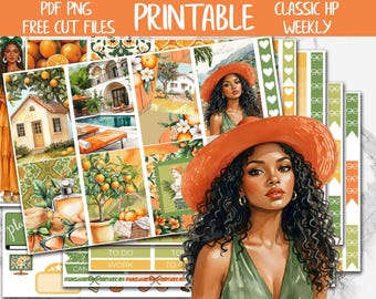 Citrus | Summer Classic Happy Planner Printable Weekly Sticker, Happy Planner Digital Stickers, Mediterranean Weekly Planner Sticker Kit
