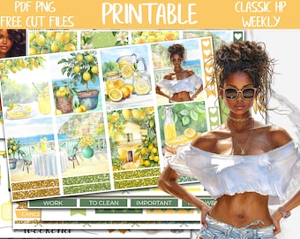 Lemonade | Summer Fruit Classic Happy Planner Printable Weekly Sticker, Happy Planner Digital Stickers, Lemons Weekly Planner Sticker Kit