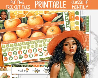 Citrus | Summer Classic Happy Planner Printable Monthly Stickers, Fresh Oranges HP Digital Stickers, Mediterranean Monthly Sticker Kit
