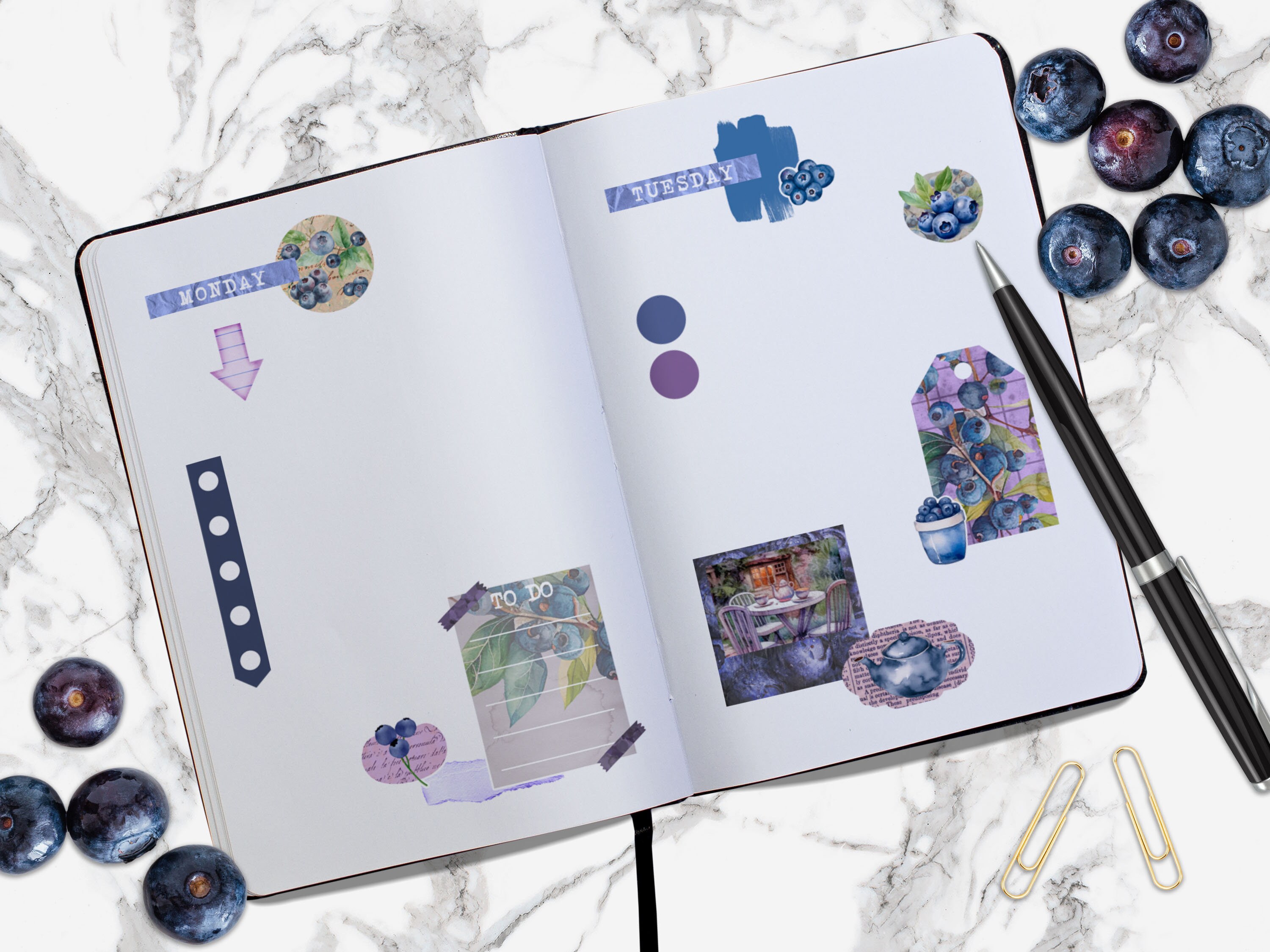 Blueberries | Bullet Journal Printable Stickers, Fruit Diary Digital ...